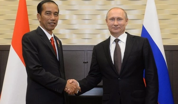 Encuentro entre el presidente de Indonesia, Joko Widodo, y el presidente de Rusia, Vladimir Putin.