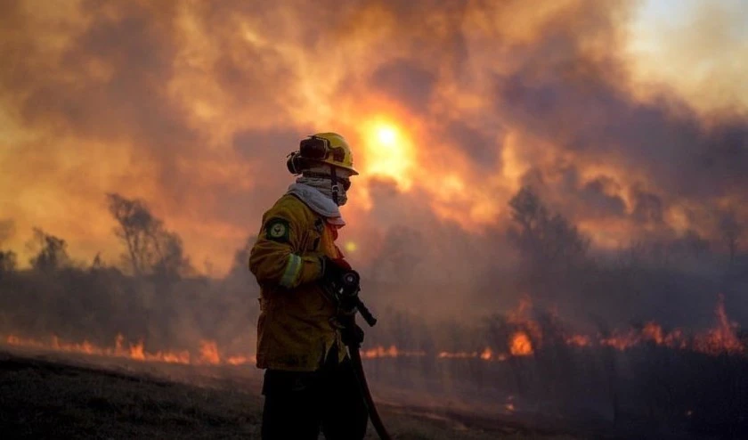 Reportan 95 mil hectáreas quemadas tras incendios en Paraná, Argentina