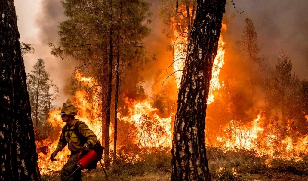 Incendio forestal en California. Foto: Redes. Incendio forestal en California. Foto: Redes.