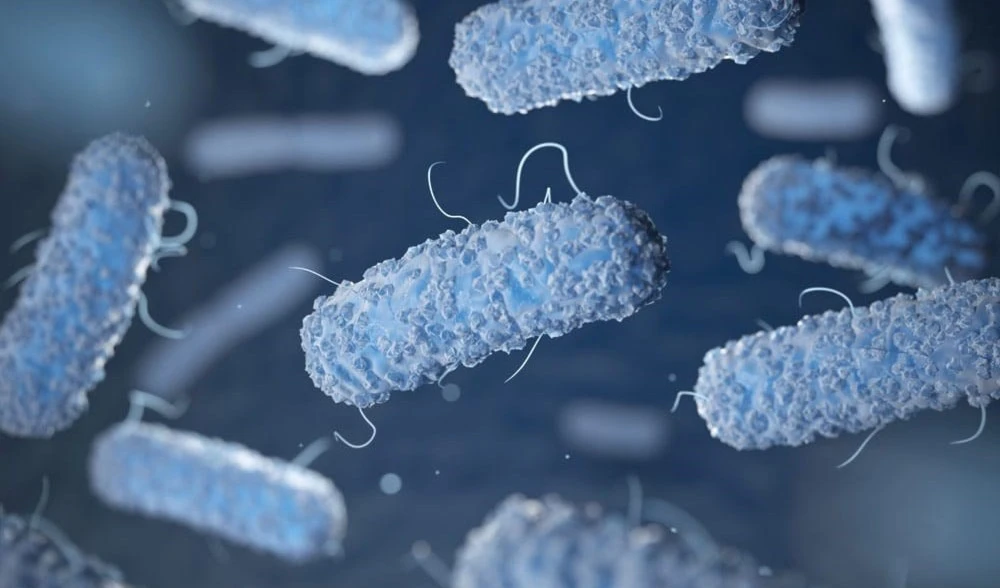 Reportan 11 casos positivos a bacteria "legionella" en Argentina