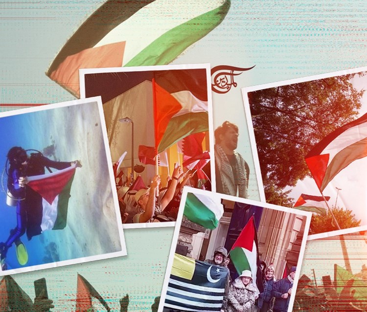 bandera palestina 8, La Estrella Palestina