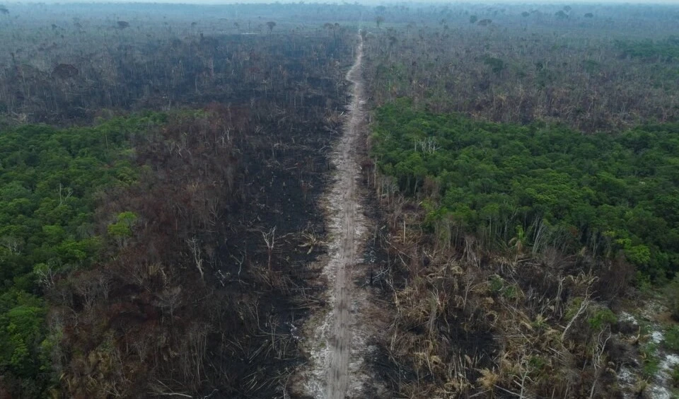 La Amazonía llegó a un punto sin retorno, según los científicos. Foto: AFP.
