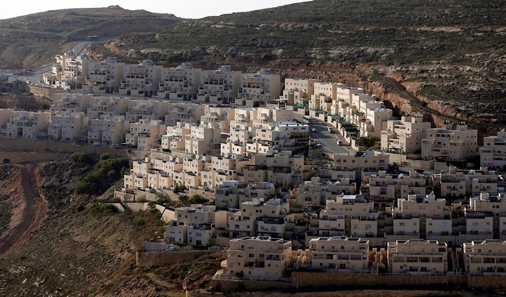 A ninguno de los miembros del Consejo de Seguridad, al parecer, se le ocurrió consultar a los palestinos si les gustaría que vinieran colonos europeos a quedarse con sus campos y sus casas. 