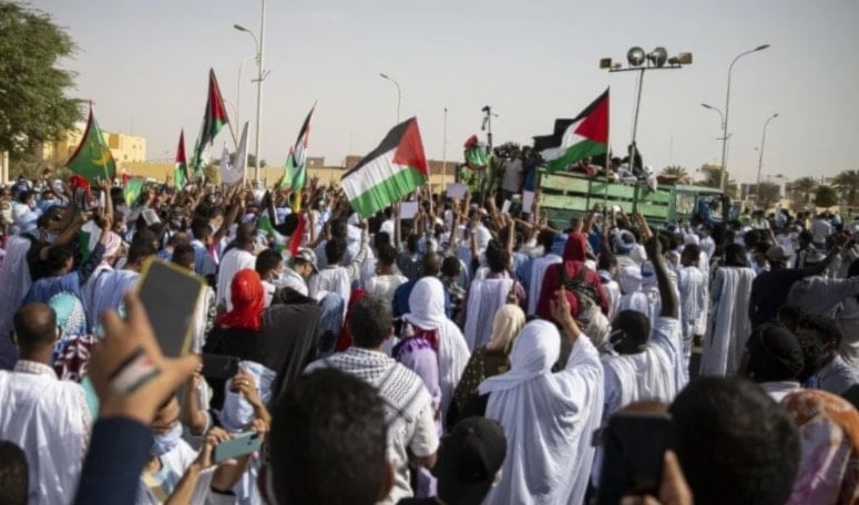 Partidos argelinos convocan grandes marchas en apoyo a Palestina