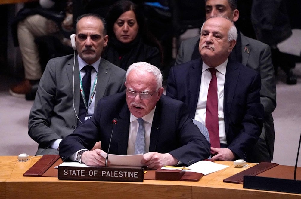 Palestina califica de imperdonables fracasos de Consejo de Seguridad