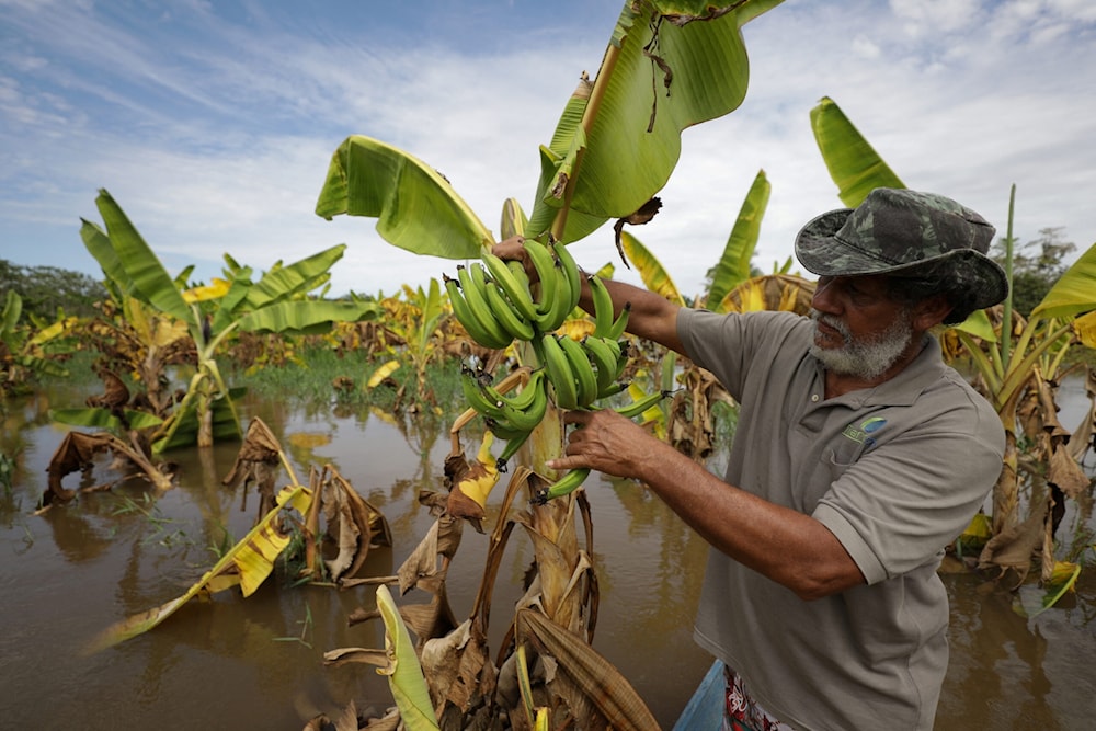 Colombia acogerá reunión regional sobre la crisis climática. Foto: Reuters. 