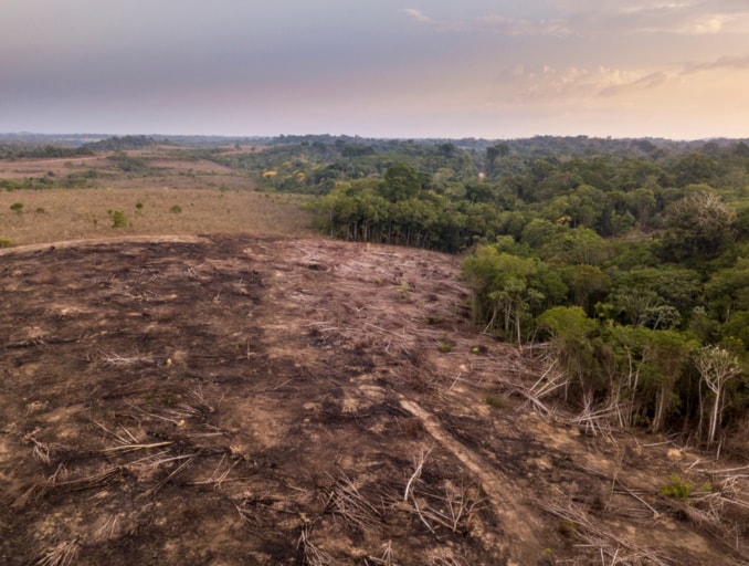 La resiliencia de la Amazonía está llegando a un punto de no retorno. 