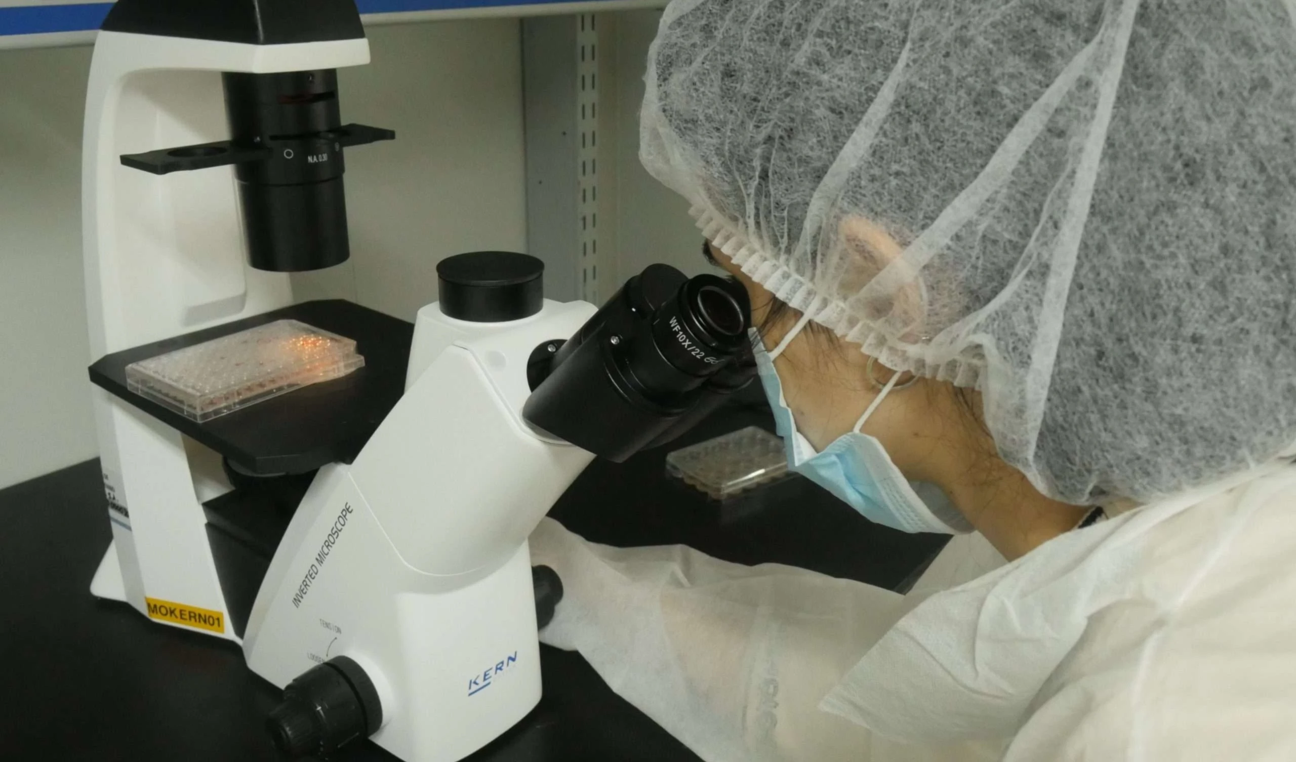 Laboratorio Centro de Inmunología Molecular. Foto: Twitter de la institución.