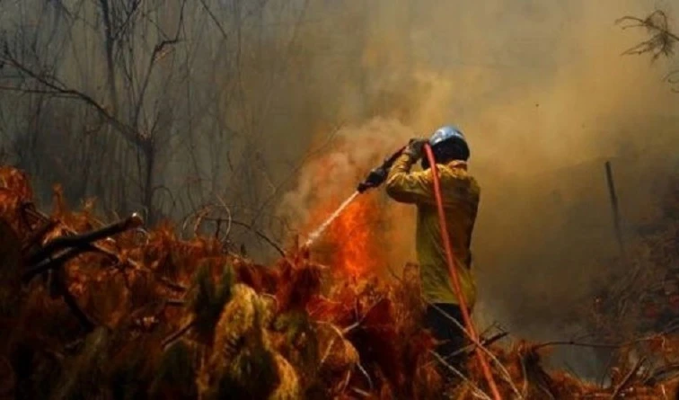 Incendios forestales se reactivan con fuerza en el sur de Chile
