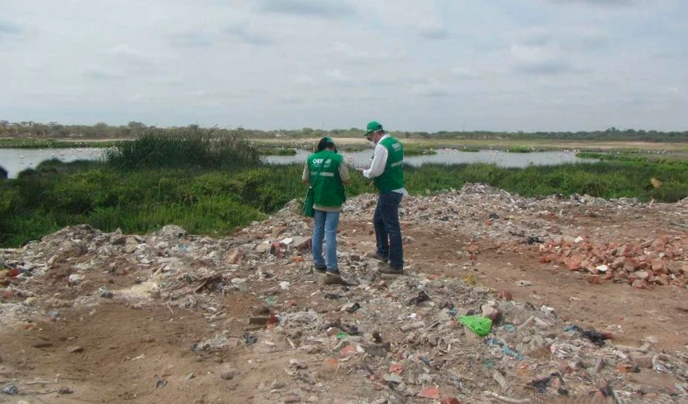 ONU alerta sobre necesidad de proteger los humedales