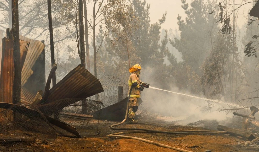 Declaran contenido incendio forestal en Biobío, Chile