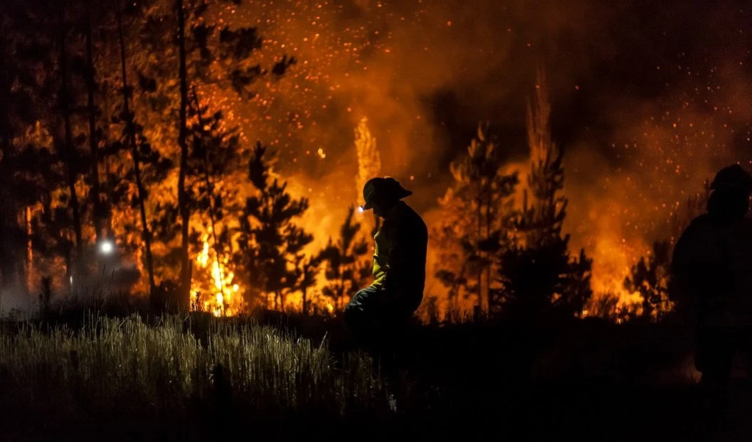 Chile confirma 20 víctimas mortales por incendios forestales Chile confirma 20 víctimas mortales por incendios forestales