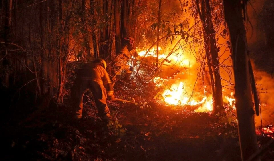 Chile continúa en vilo por los incendios forestales. Foto: AFP.