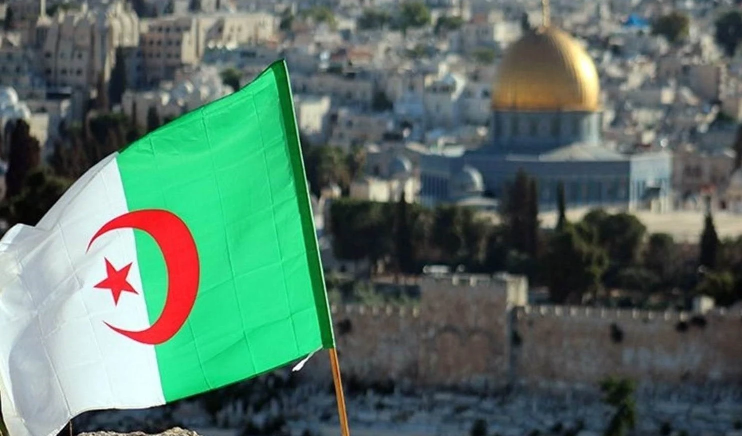 Argelia: el comportamiento agresivo del régimen constituye una flagrante violación de la legitimidad y las normas internacionales.