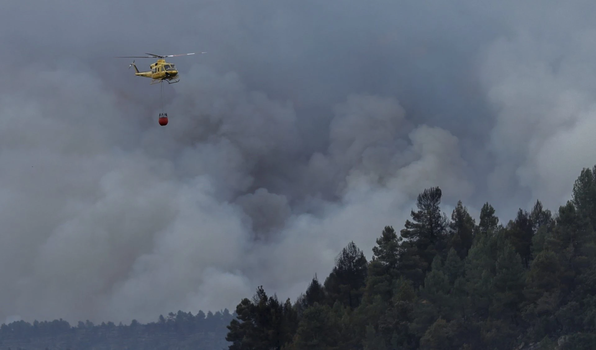 Tierras arrasadas por incendios en España: retorno de la pesadilla. Foto: EFE.