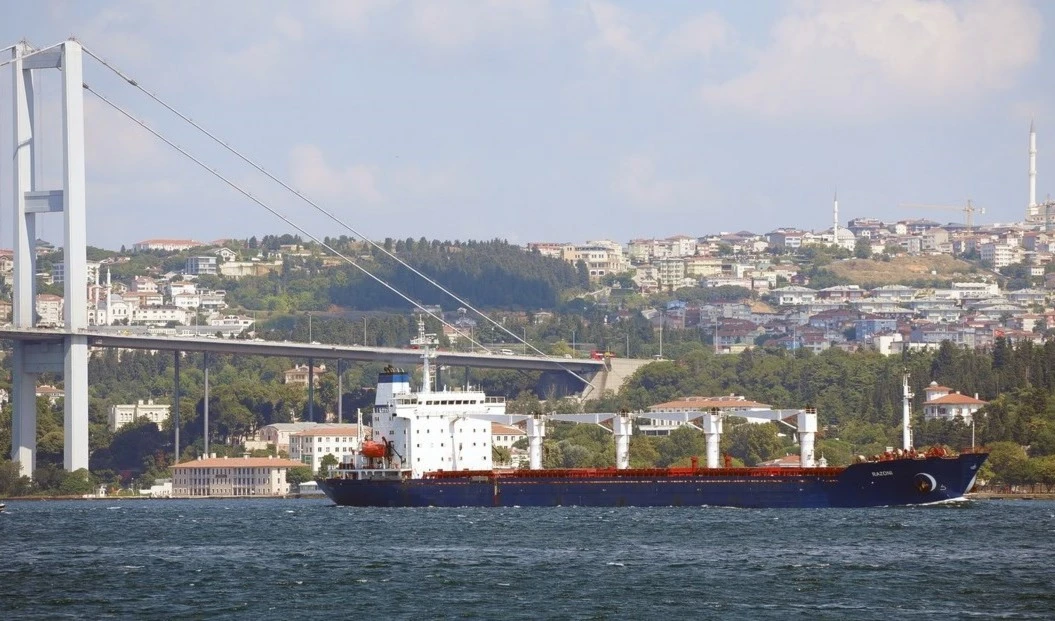 El grano de Ucrania viaja a precios favorables hacia la Unión Europea.