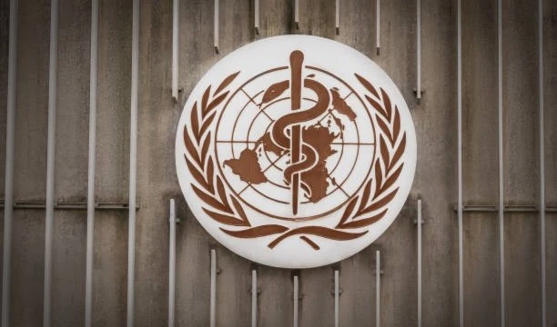 OMS confirma primera muerte humana por gripe aviar H3N8. Foto: Istock.