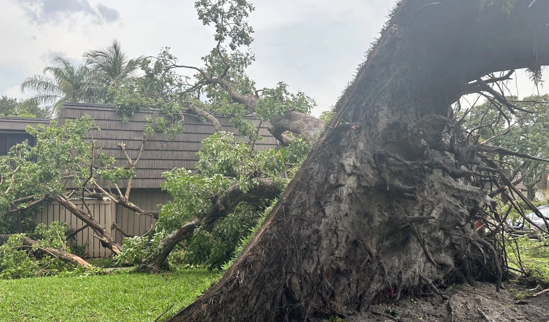 Miles de personas quedaron a oscuras por tornado en Florida, EE.UU. Foto: WPTV.
