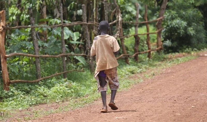 Desnutrición infantil aumentó un 30 por ciento en Haití. Foto: Unicef.