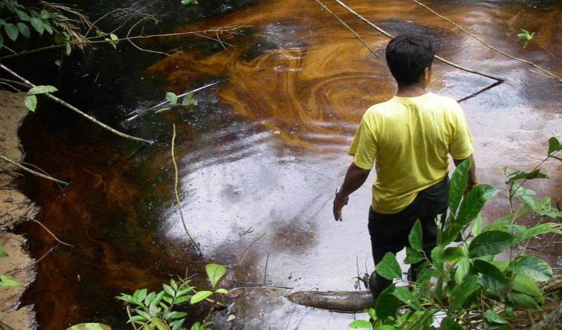 Estudio revela niveles altos de metales en pueblos de la Amazonía. Foto: Feconacor.