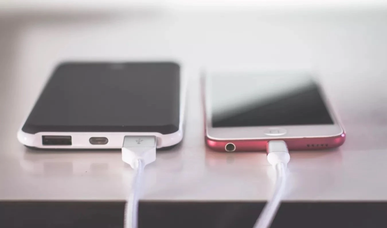 Desarrollan el primer transistor de madera del mundo. Foto: Unsplash.