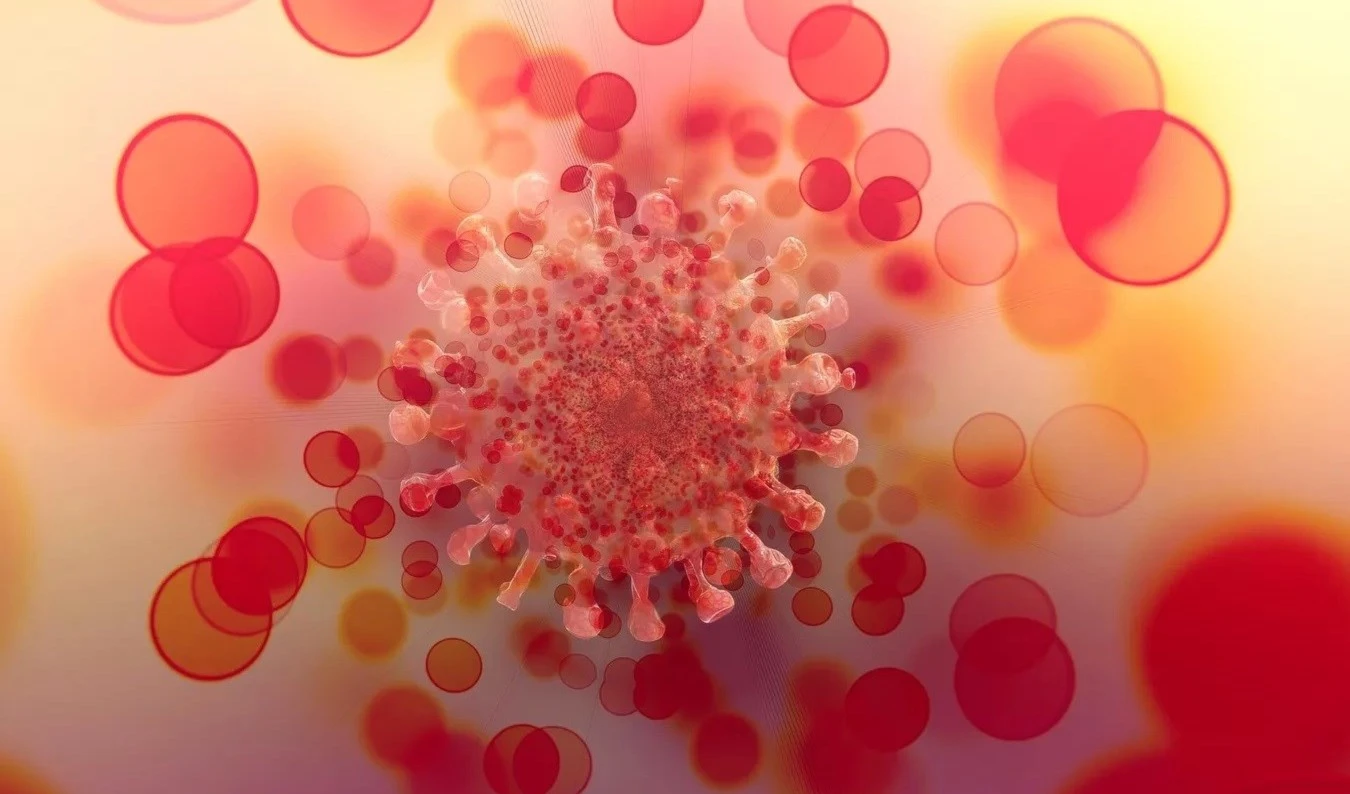 La erradicación de la Covid-19 es imposible, asegura la OMS. Foto: Pixabay. La erradicación de la Covid-19 es imposible, asegura la OMS. Foto: Pixabay.