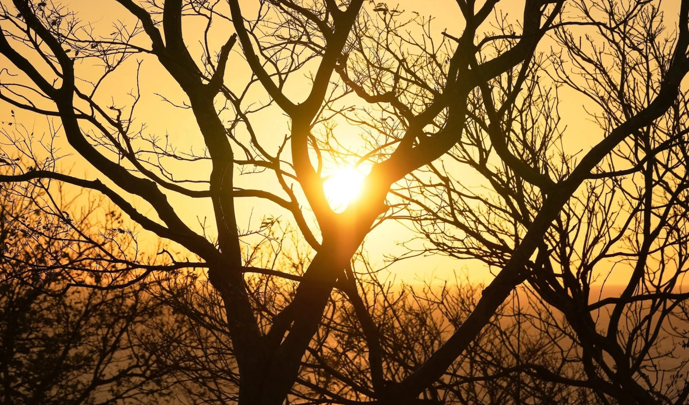 Ola de calor en México causa seis fallecidos