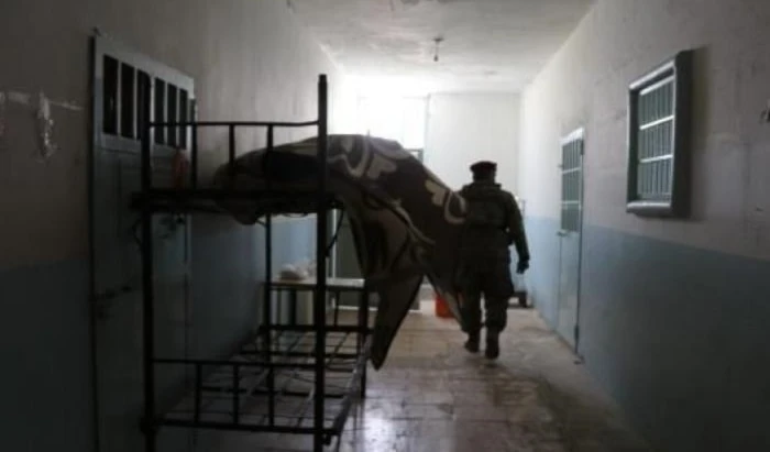 Reportan fuga de miembros del Daesh de prisión en Siria