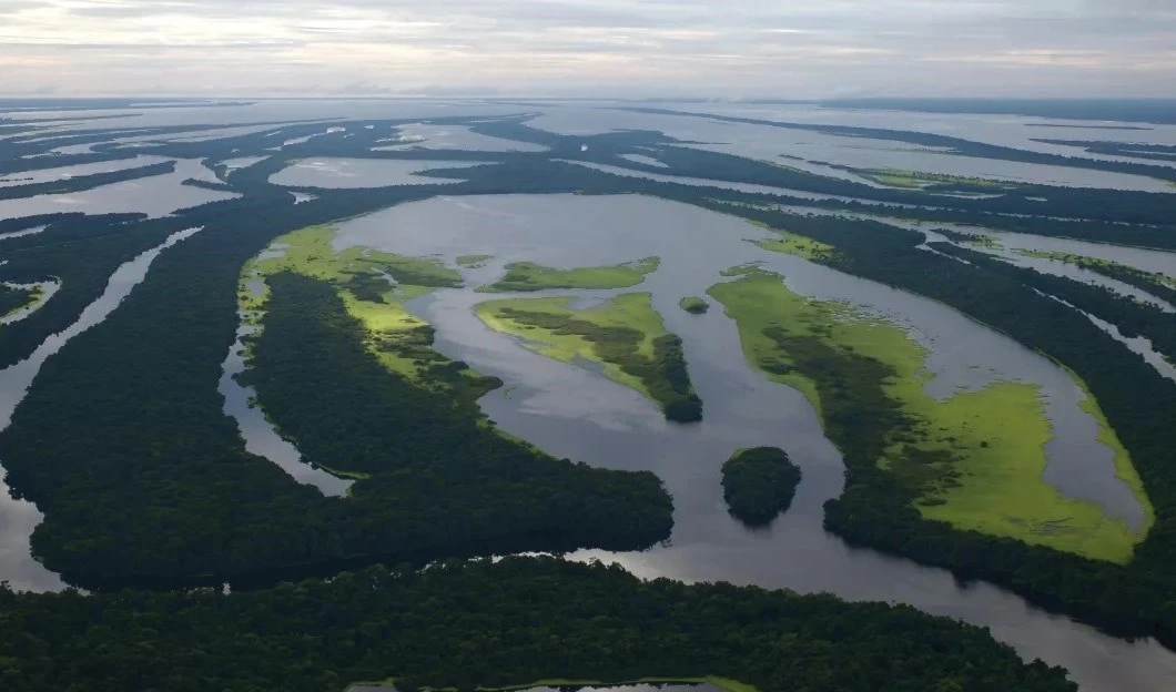 Detectan altos niveles de mercurio en los peces de la Amazonía. Foto: Flickr.