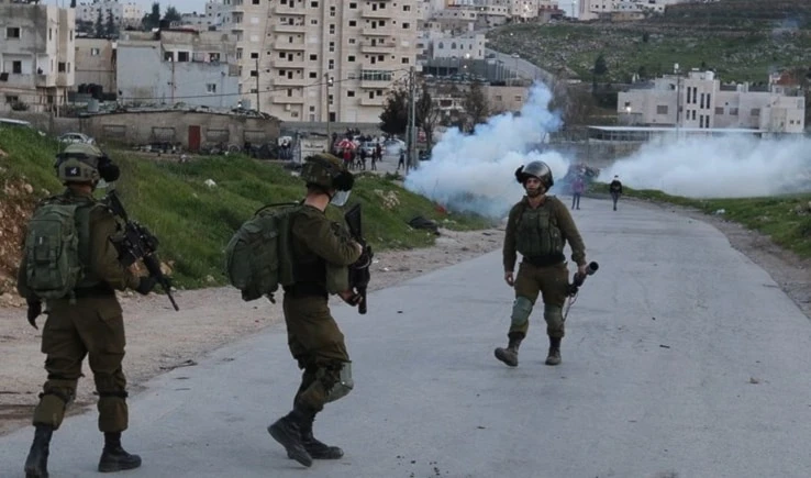 Funcionario de la ONU condena ataques de colonos contra palestinos en Cisjordania