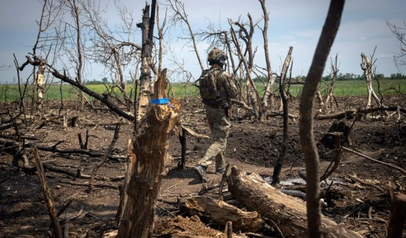La CIA planea el diálogo de paz entre Rusia y Ucrania
