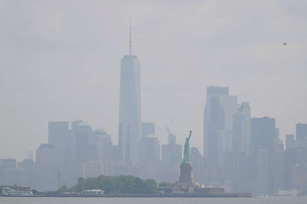 Insectos invaden Nueva York tras el smog de los incendios de Canadá. Foto: AP. 