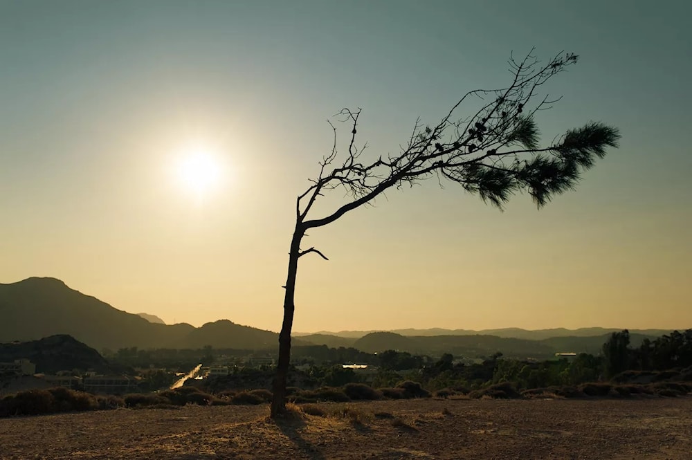 Primera semana de julio fue la más calurosa en los registros globales. Foto: Unsplash. 