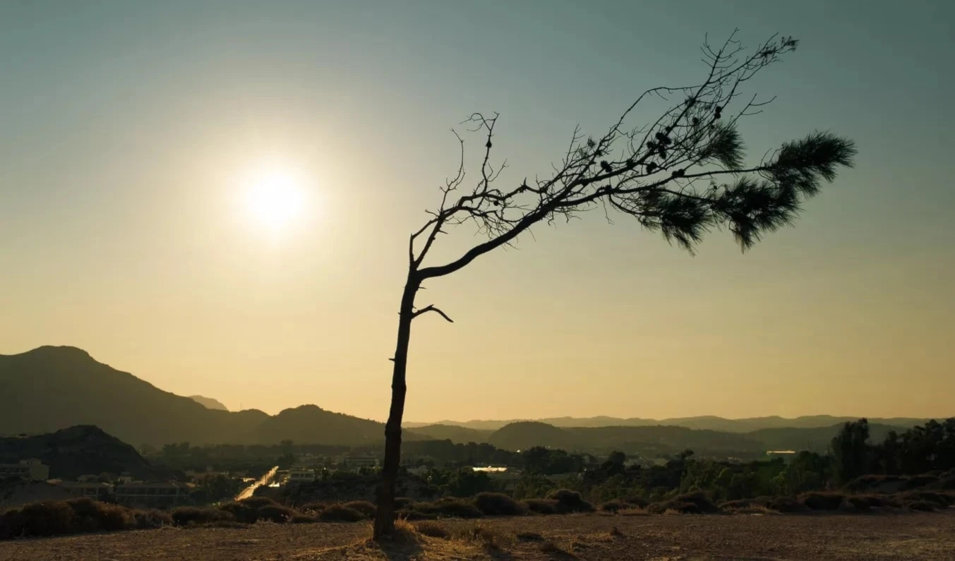 Primera semana de julio fue la más calurosa en los registros globales. Foto: Unsplash.