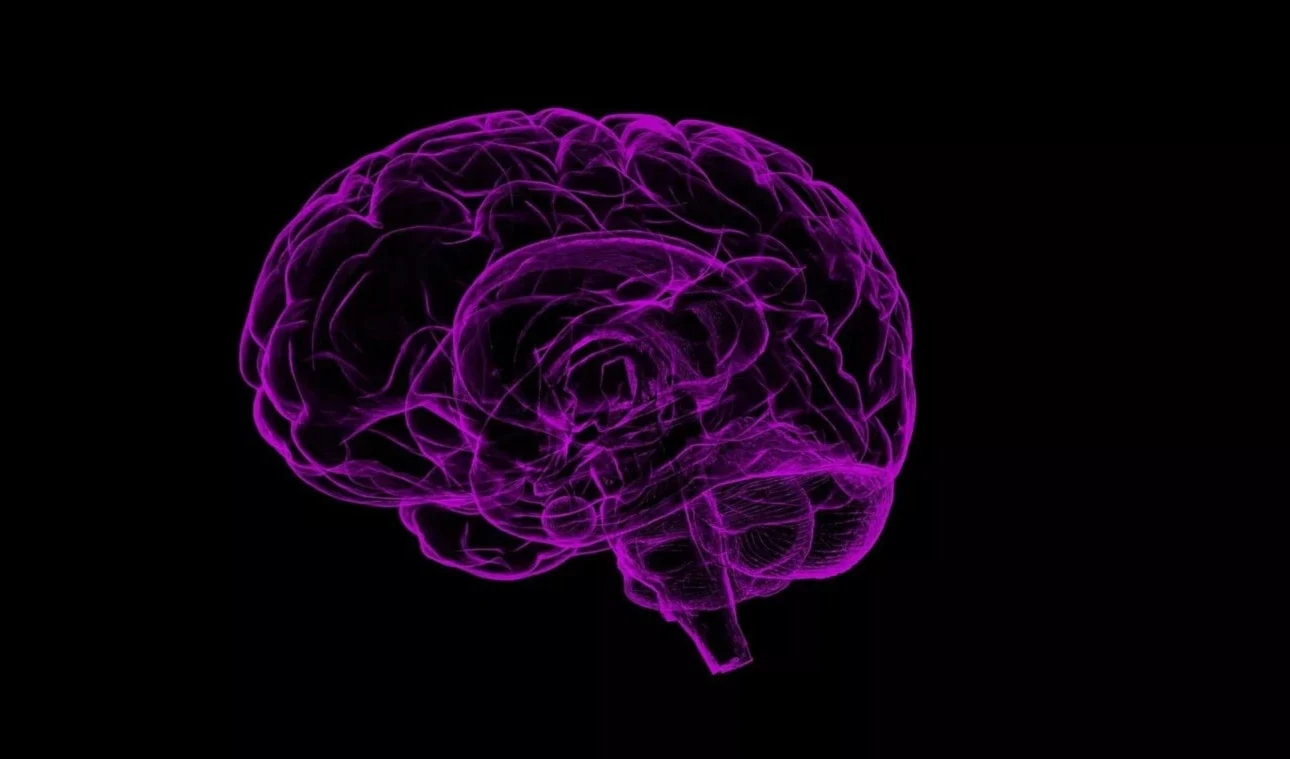 ¿Pueden los antinflamatorios tener efectos contra el Alzheimer? Foto: Pixabay. ¿Pueden los antinflamatorios tener efectos contra el Alzheimer? Foto: Pixabay.