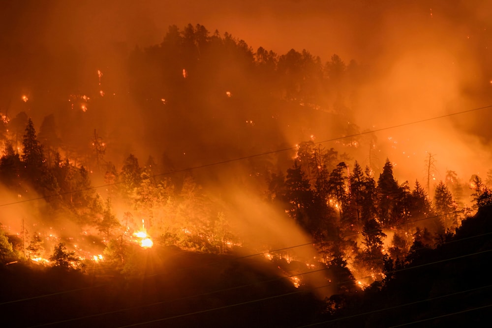 Ola de calor extremo recorre el hemisferio norte. Foto: AP.  