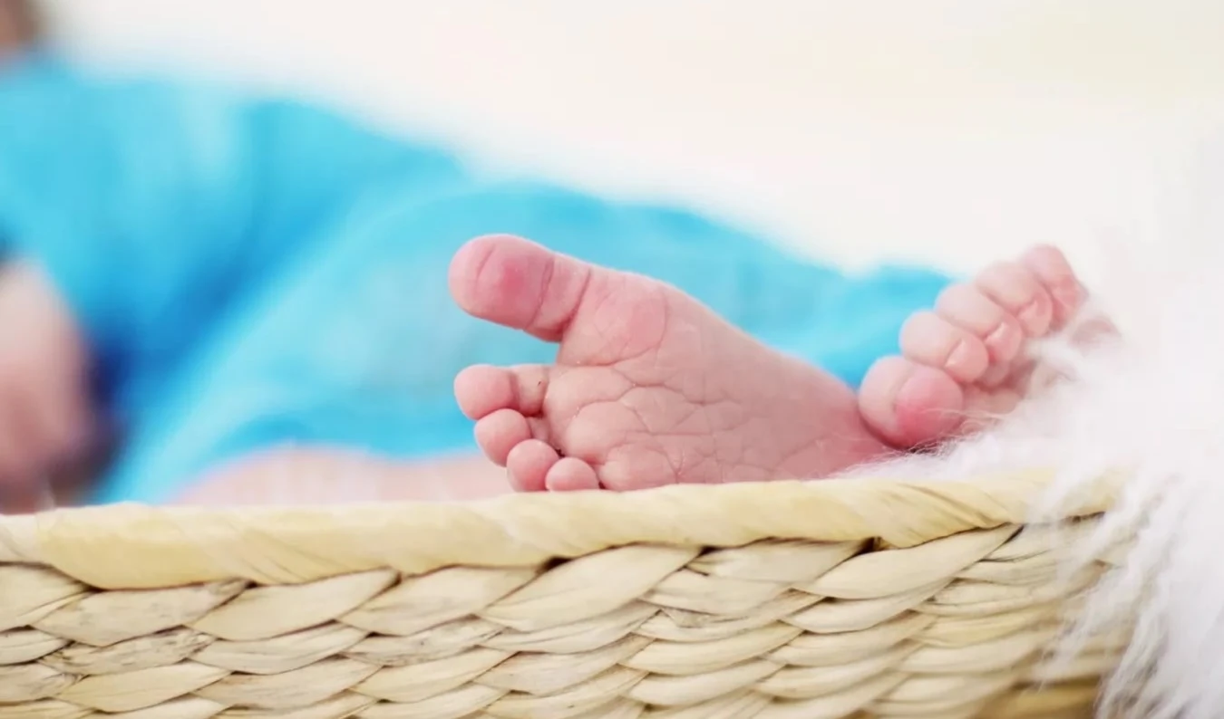 Encuentran sustancias tóxicas en la leche materna de mujeres en EE.UU. Foto: Pixabay. Encuentran sustancias tóxicas en la leche materna de mujeres en EE.UU. Foto: Pixabay.