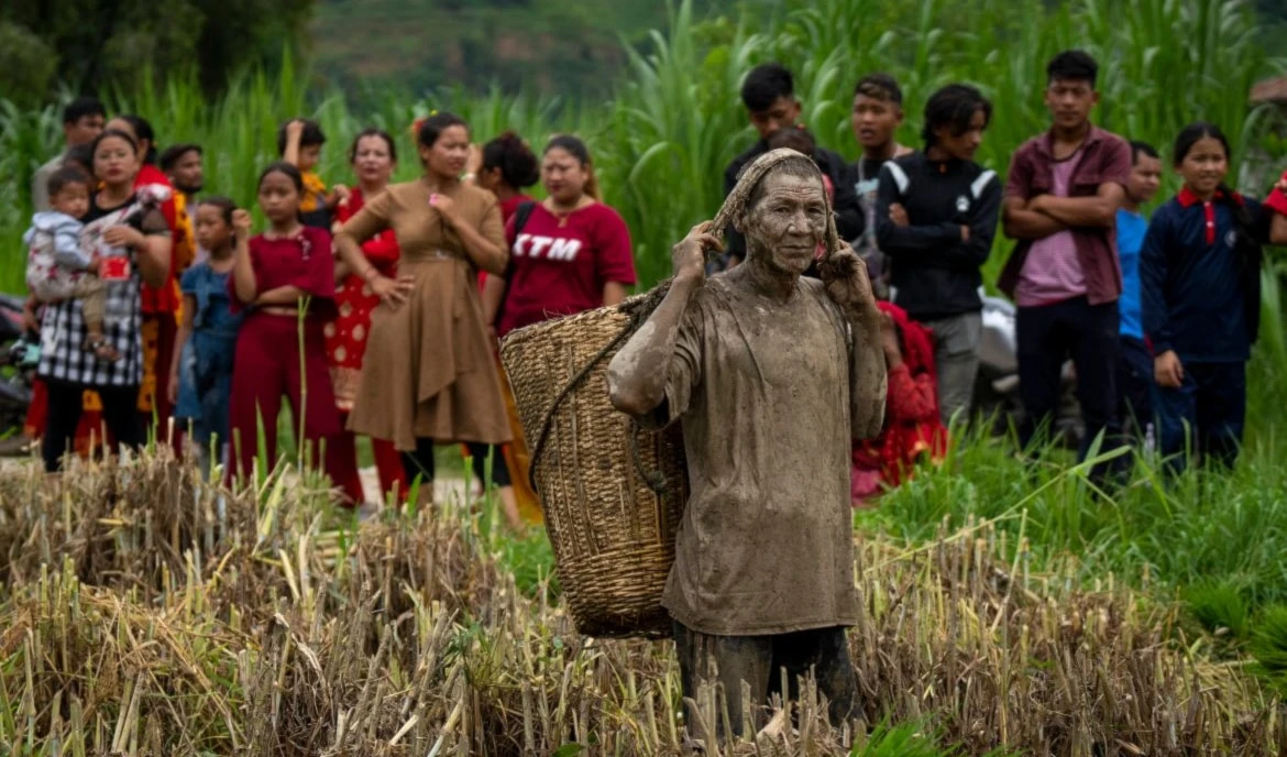 Nepal activa sus tradiciones en el festival anual del arroz. Foto: AP. Nepal activa sus tradiciones en el festival anual del arroz. Foto: AP.