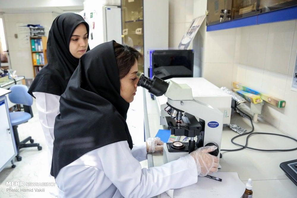 Instituto Royan de Irán combate patologías difíciles con células madre