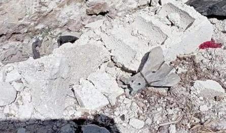 El proyectil hizo blanco en el poblado de Tadil, en el área de Urem Al-Kubra, al sudoeste de la ciudad de Alepo.