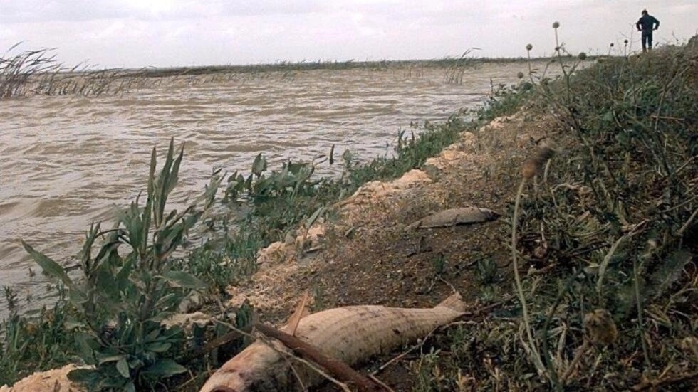 Fotografía del río Guadiamar el 29 de abril de 1998. Foto: AFP.