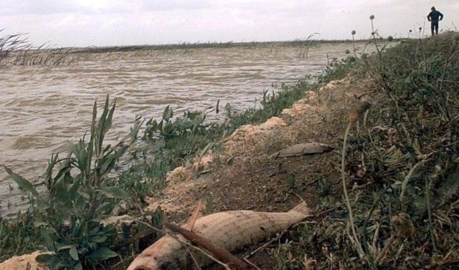 Fotografía del río Guadiamar el 29 de abril de 1998. Foto: AFP.