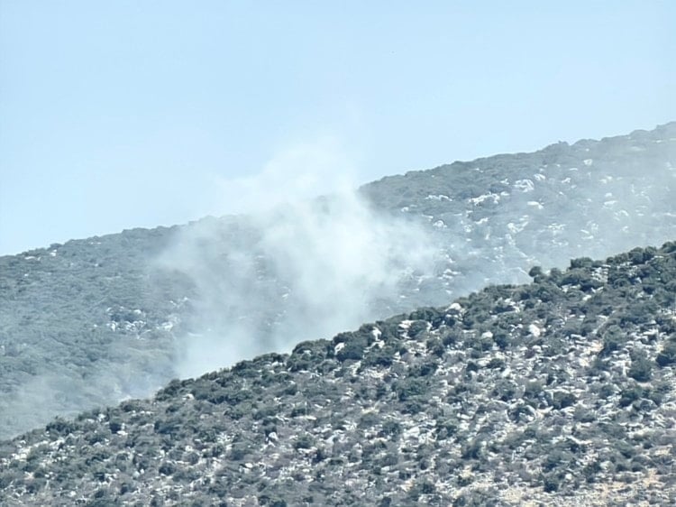 Once proyectiles israelíes cayeron en las colinas de Kafr Shuba y Kafr Hamam, al sur de Líbano.