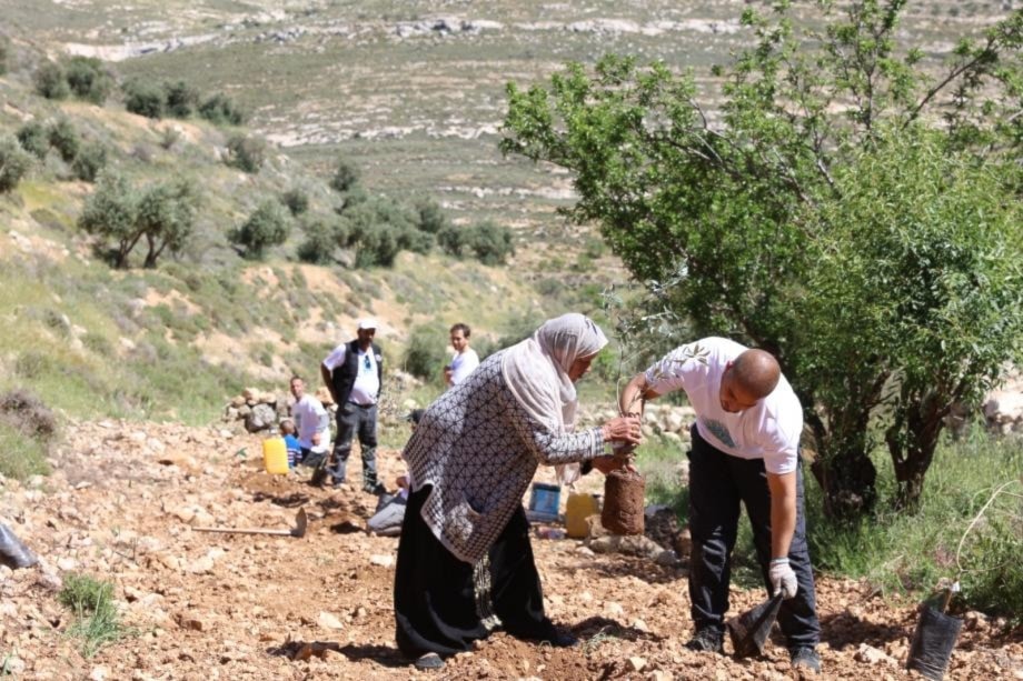 En Palestina plantan árboles para recordar a la joven Alia Al Moussa
