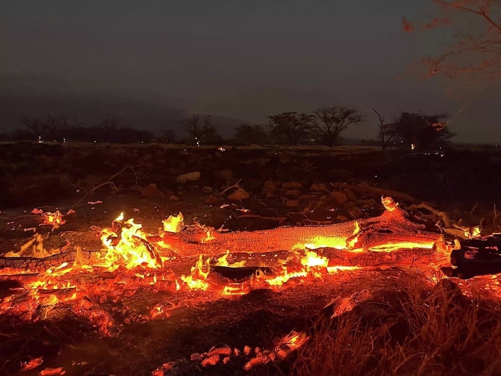 Incendio en Hawái es el más mortífero de EE.UU. en 105 años. Foto: AP.