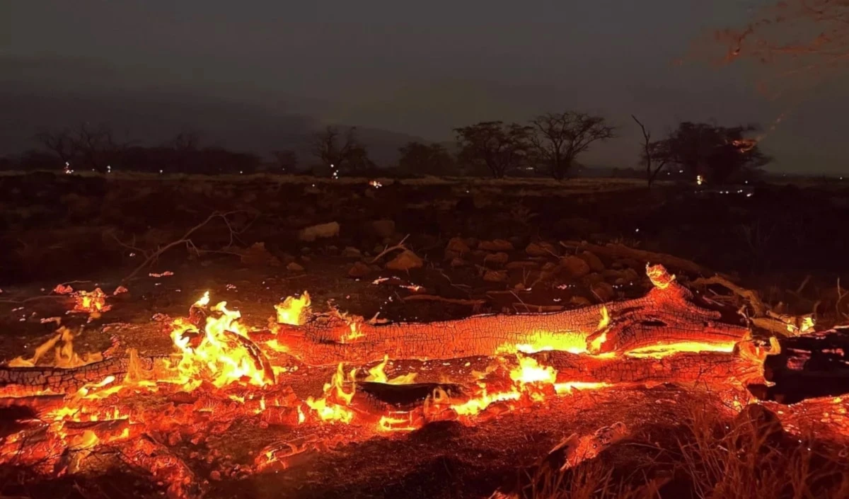Incendio en Hawái es el más mortífero de EE.UU. en 105 años. Foto: AP.