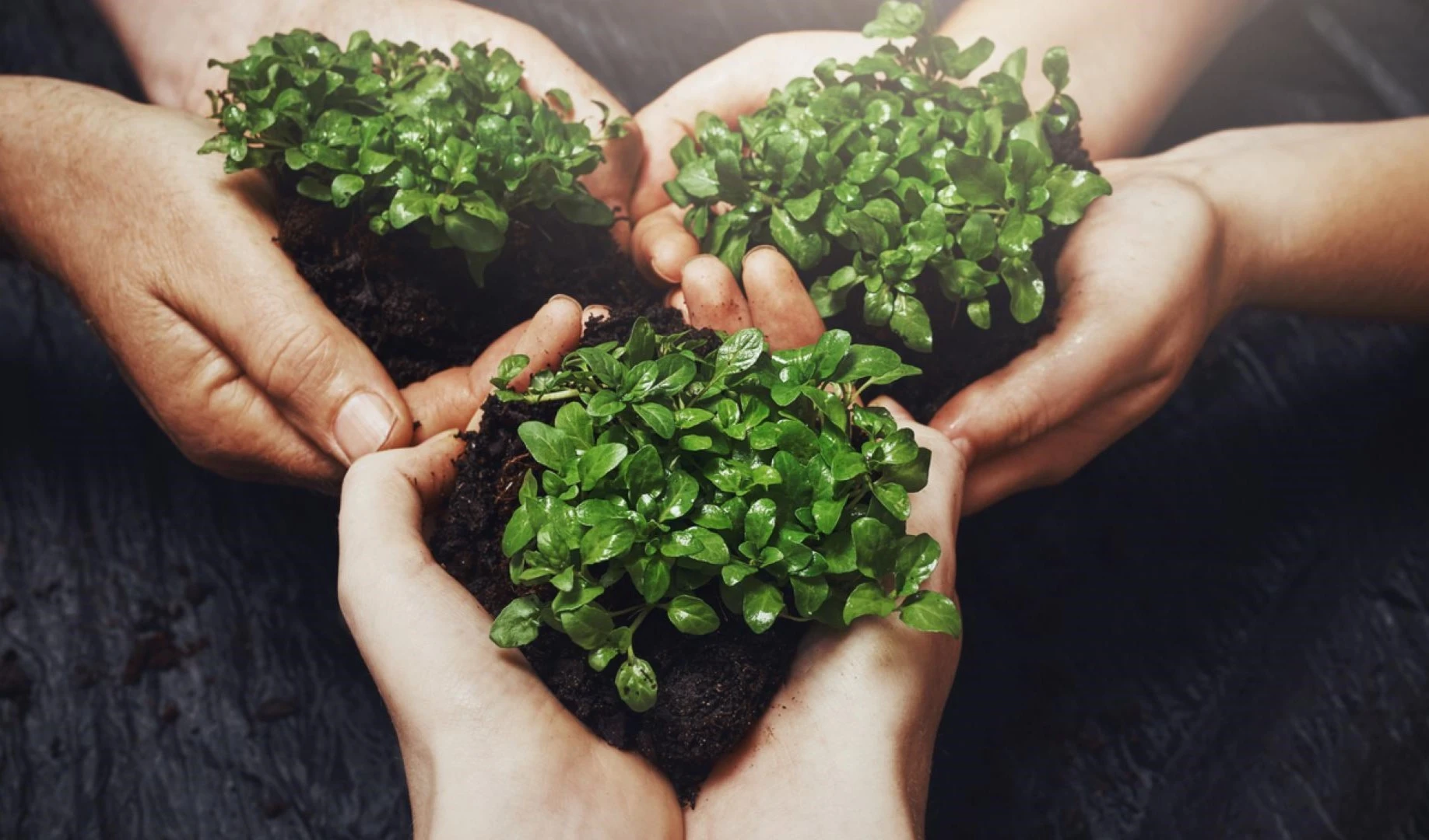 Crecer: meta del Banco de Desarrollo de América Latina y el Caribe