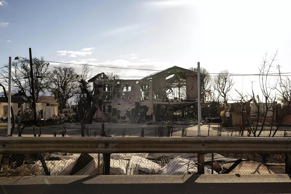 Identifican posible causa de los incendios forestales en Hawai. Foto: AFP.