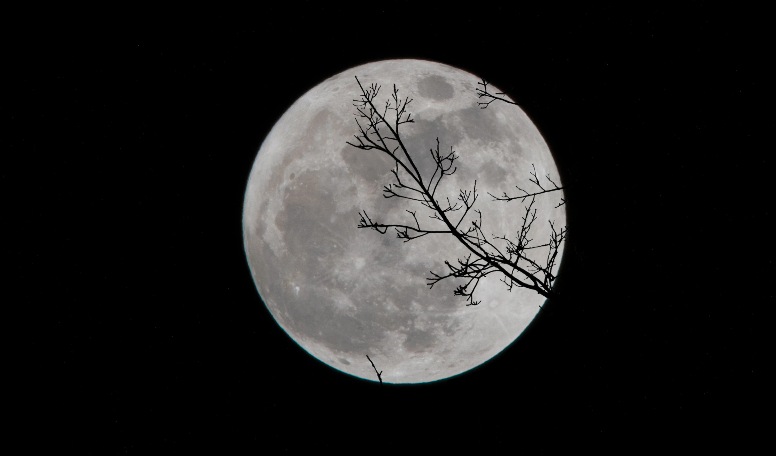 India revela variaciones de temperatura superficie lunar. Foto: Unsplash.