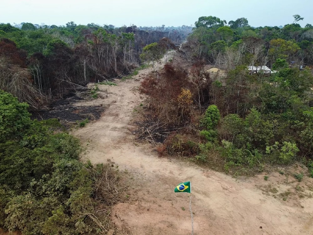 La Cumbre Amazónica abordará la lucha contra las drogas, ¿por qué? Foto: AFP. 